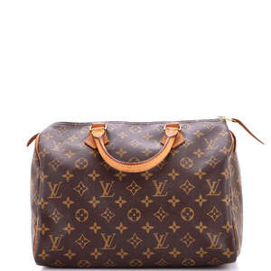 Louis Vuitton Speedy Handbag Canvas 30 #252726L14B